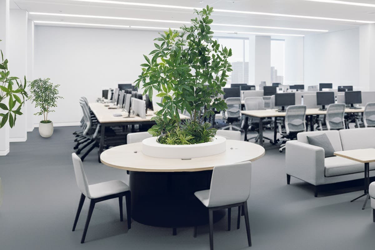 テーブル樹木_円タイプ_設置事例