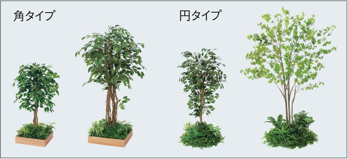 テーブル樹木_スタイル特徴