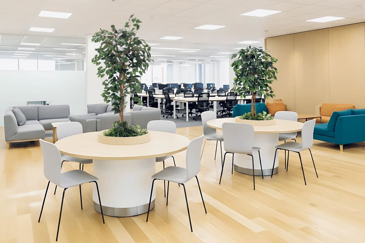 テーブル樹木_設置事例