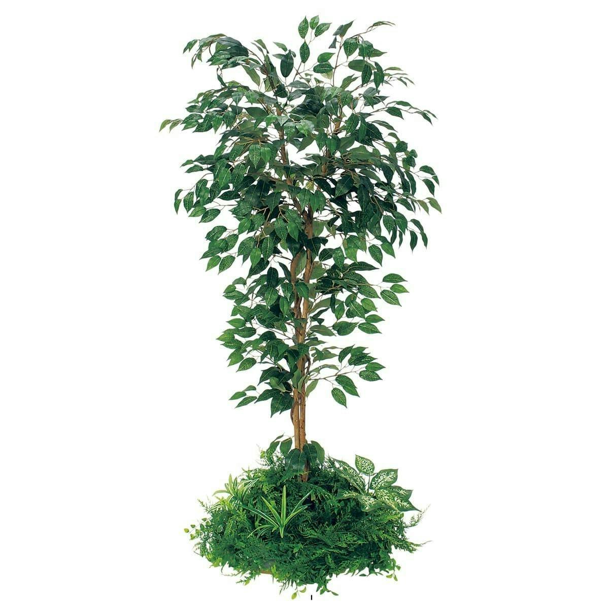 テーブル樹木　GR5136