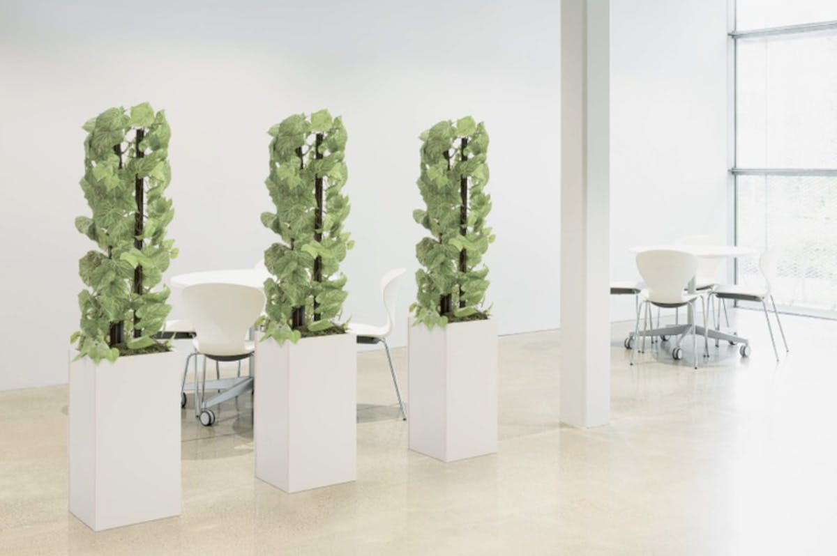 フェイクグリーン