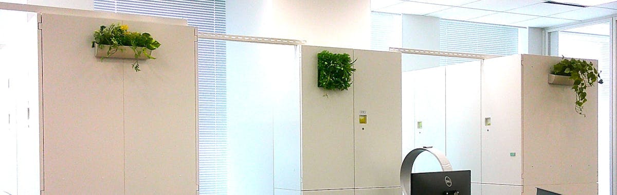 フェイクグリーン