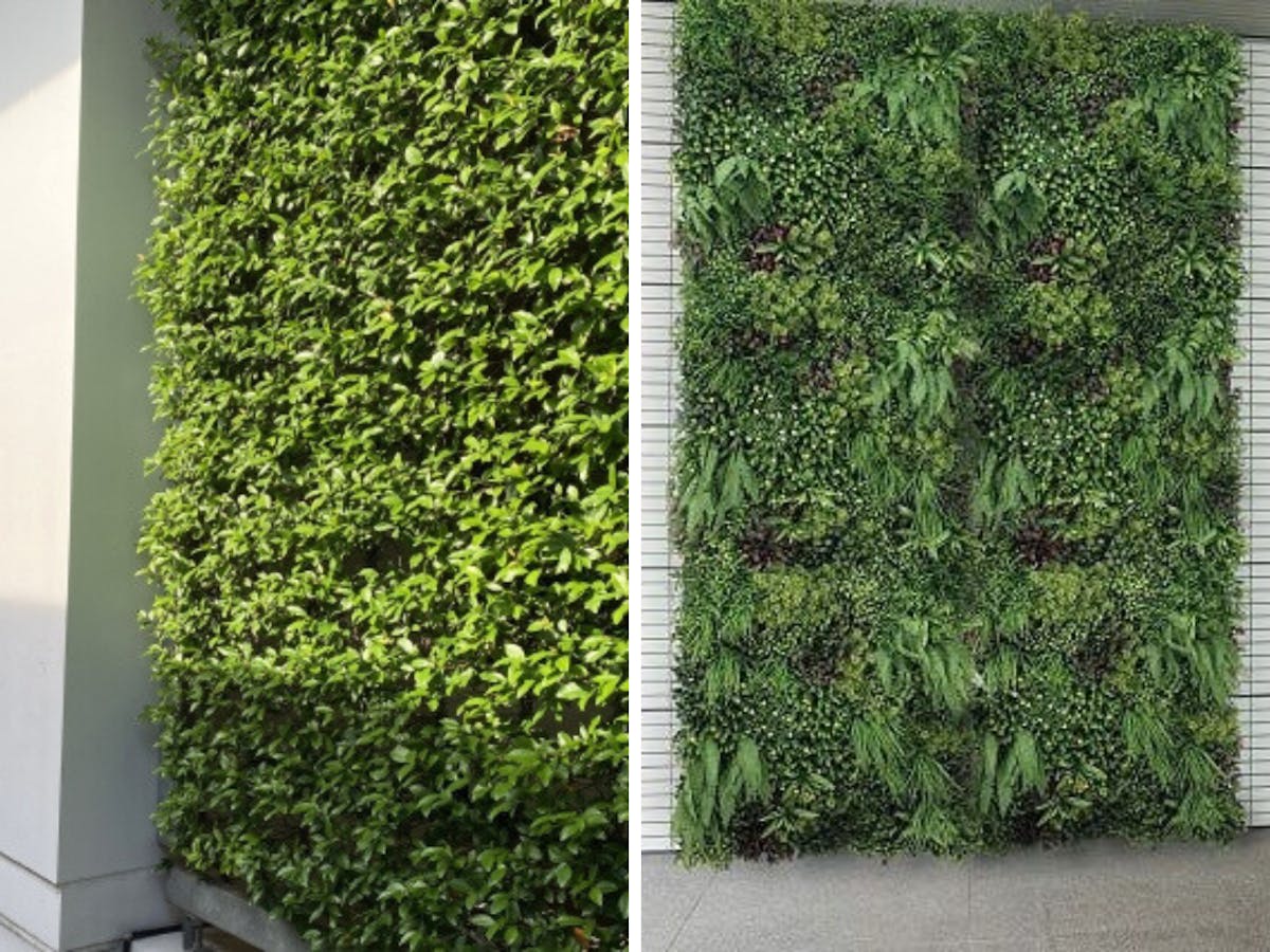 比較　フェイクグリーン　観葉植物