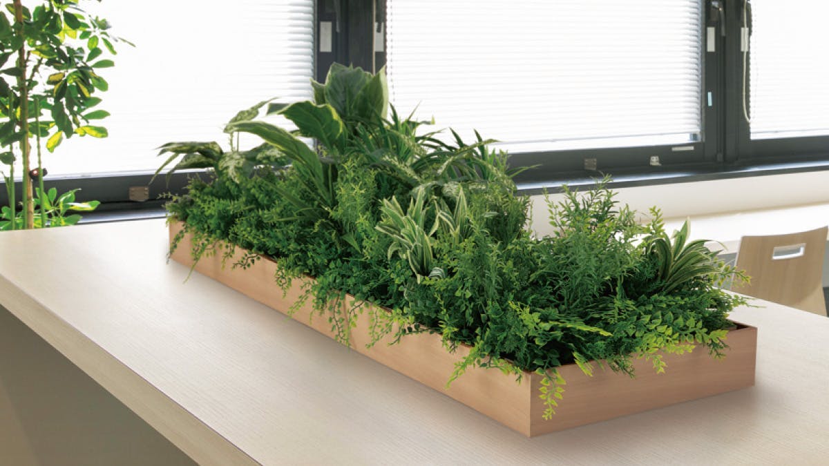 フェイクグリーン　会議室