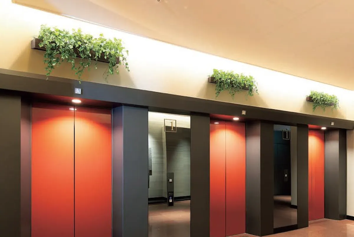 フェイクグリーン　エレベーター