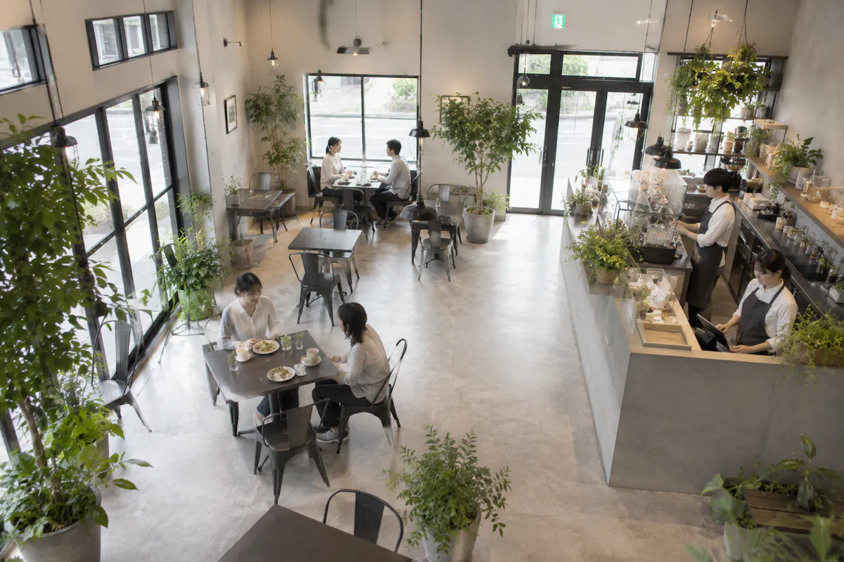 フェイクグリーン　カフェ