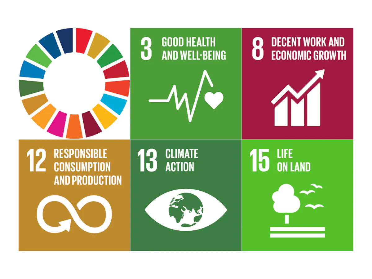 SDGs