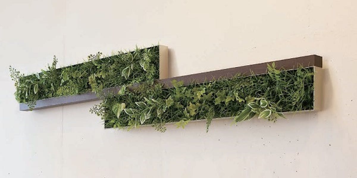 壁面緑化 フェイクグリーン グリーンモード Jp 壁面緑化 フェイクグリーン グリーンモード Jp