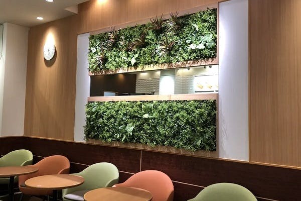 カフェの壁面緑化