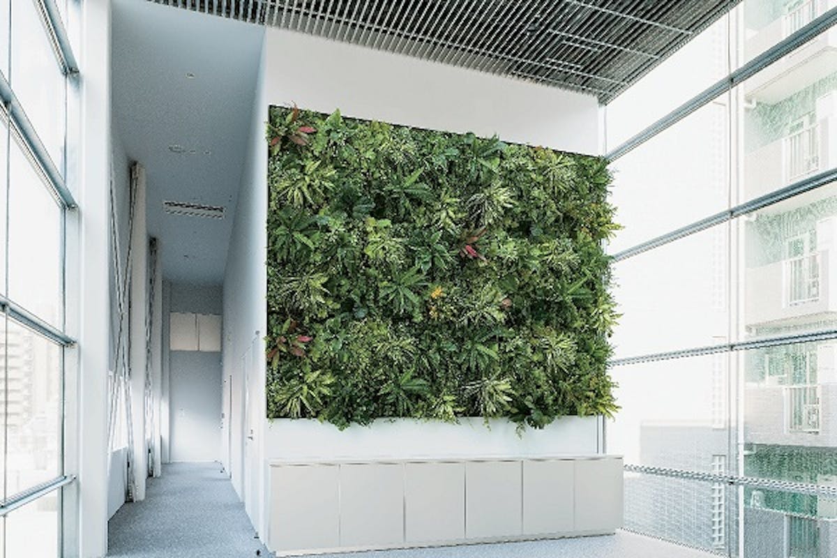壁面緑化 フェイクグリーン グリーンモード Jp 壁面緑化 フェイクグリーン グリーンモード Jp