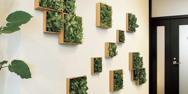 フェイクグリーンの壁面緑化。立体感のあるフレームタイプ