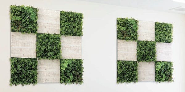 フェイクグリーンの壁面緑化。木板などと組み合わせたコラボグリーン