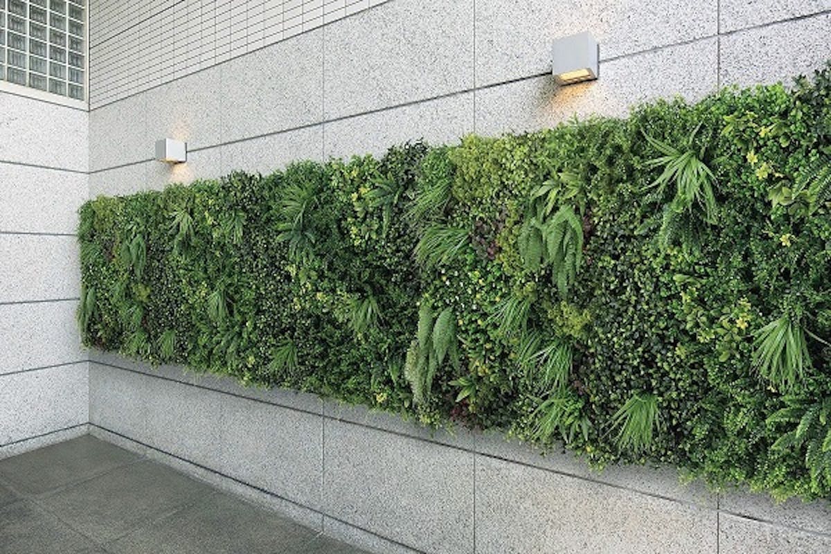 軒先の壁面緑化