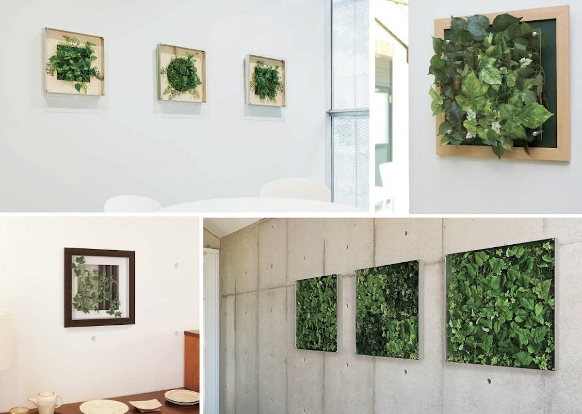壁掛けフェイクグリーン