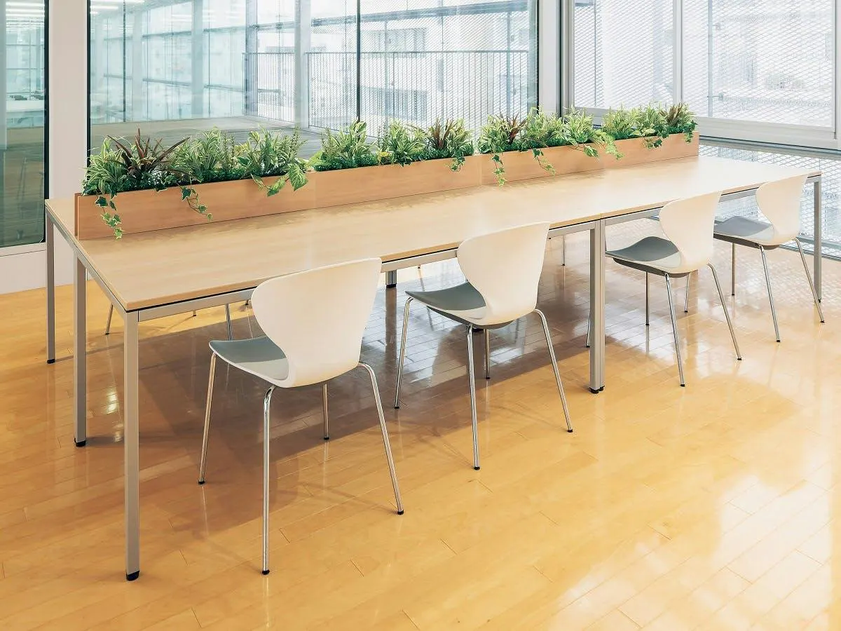 卓上