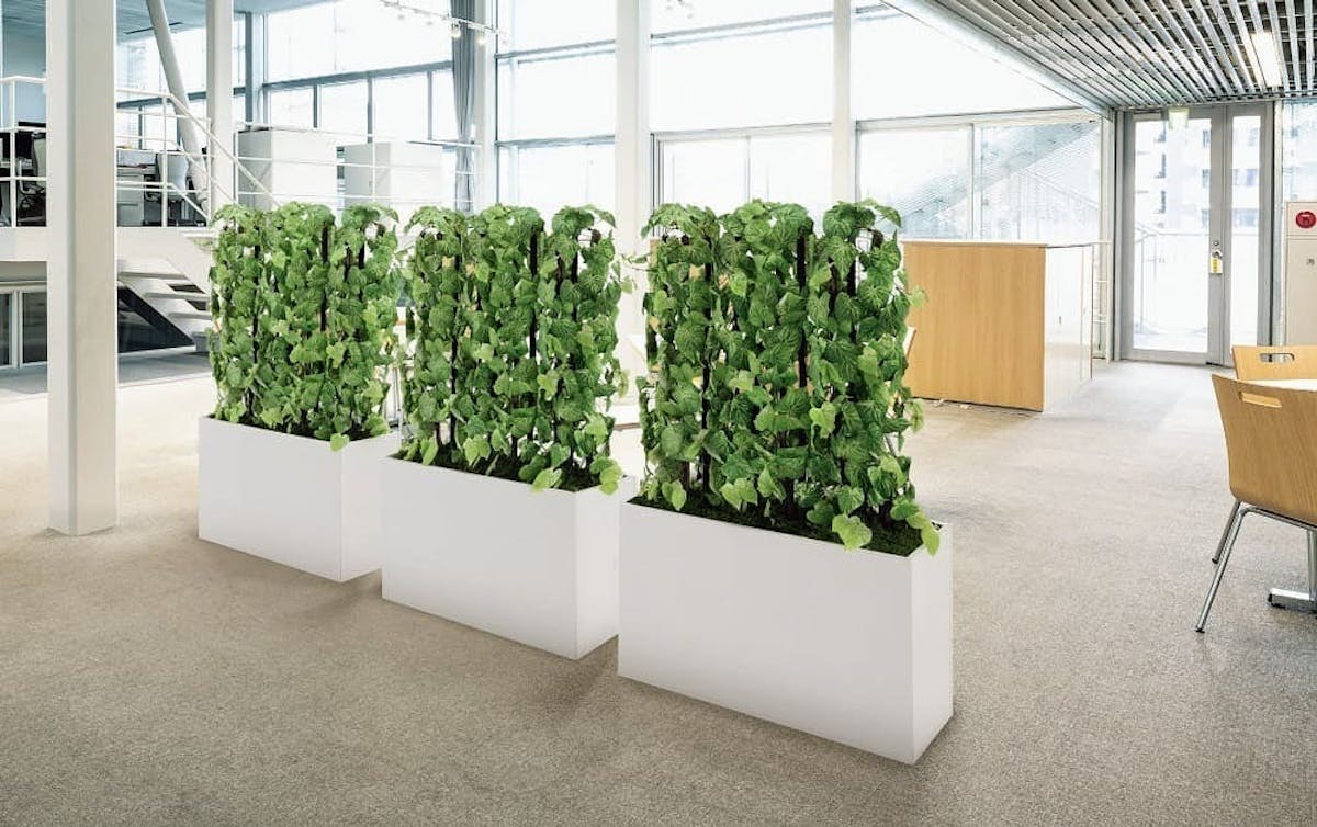 人工樹木「樹木パーテーション」の設置事例　オフィス