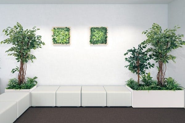 人工観葉植物のソファ周り事例