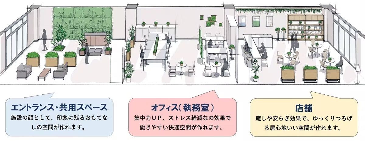 居心地のいいグリーン空間の作り方 グリーンモード Jp 居心地のいいグリーン空間の作り方 グリーンモード Jp