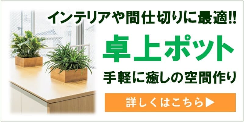 人工観葉植物の種類と選び方について｜フェイクグリーン通販専門店