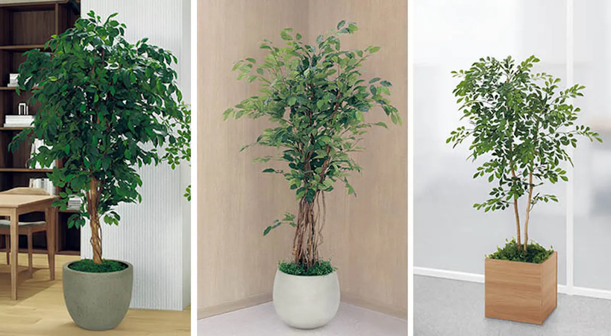 人工樹木　シンボルツリータイプ／装飾向き丸鉢タイプタイプ／仕切り向き角鉢タイプ