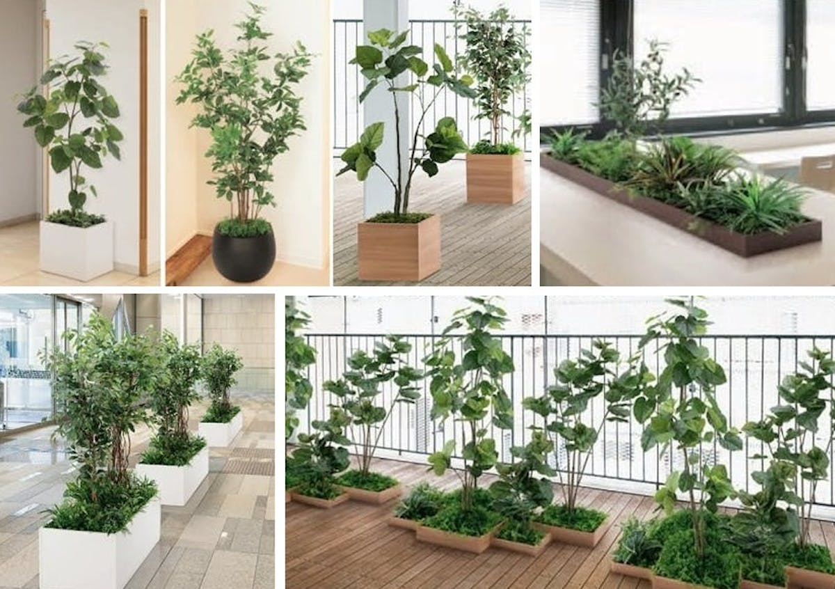人工観葉植物の種類と選び方について フェイクグリーン通販専門店 人工観葉植物の種類と選び方について フェイクグリーン通販専門店