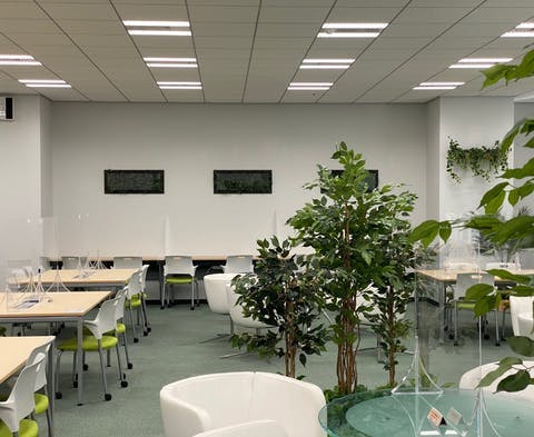 観葉植物_インテリア_オフィス