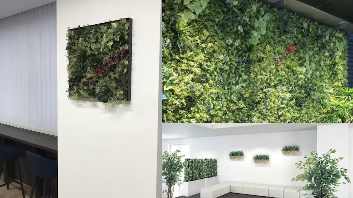 ウォールグリーン