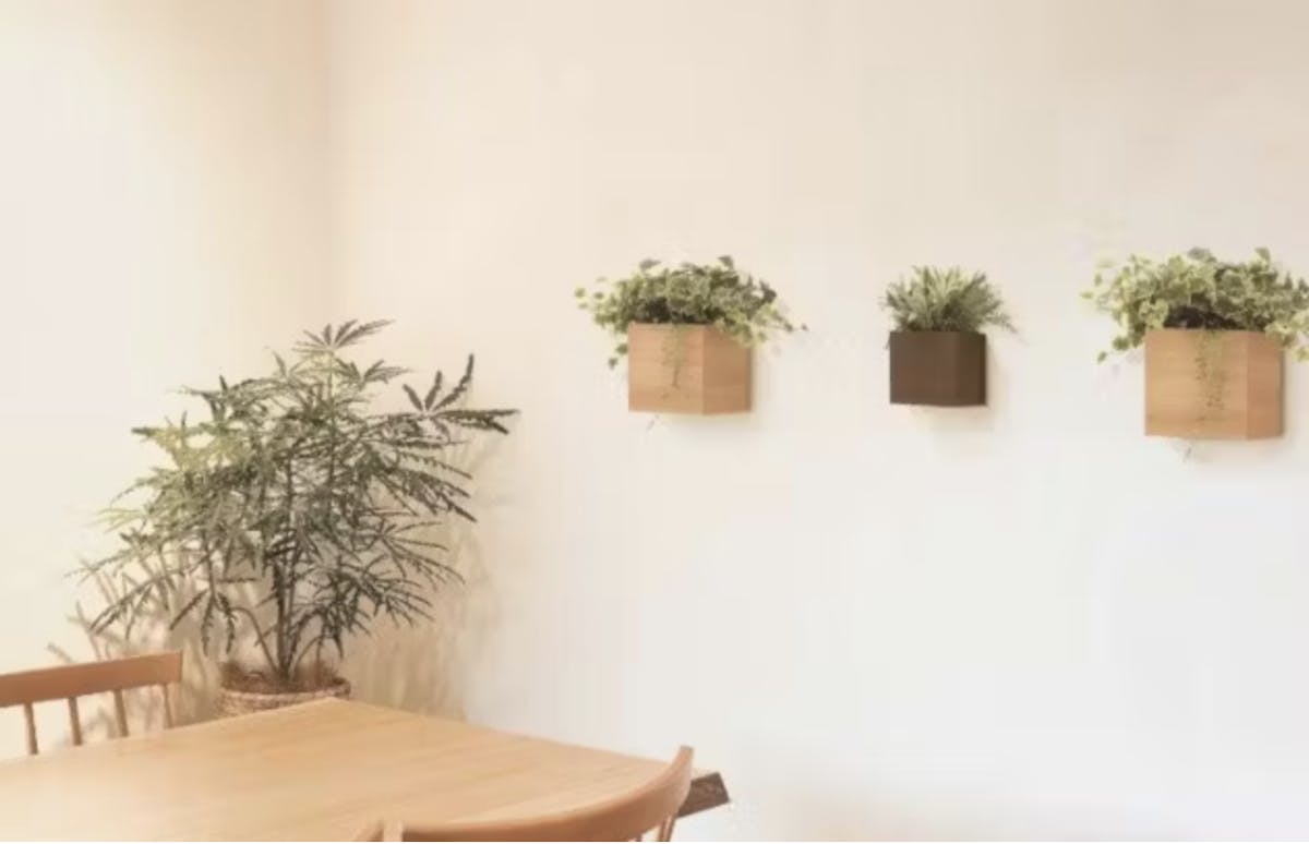 壁掛け_フェイクグリーン