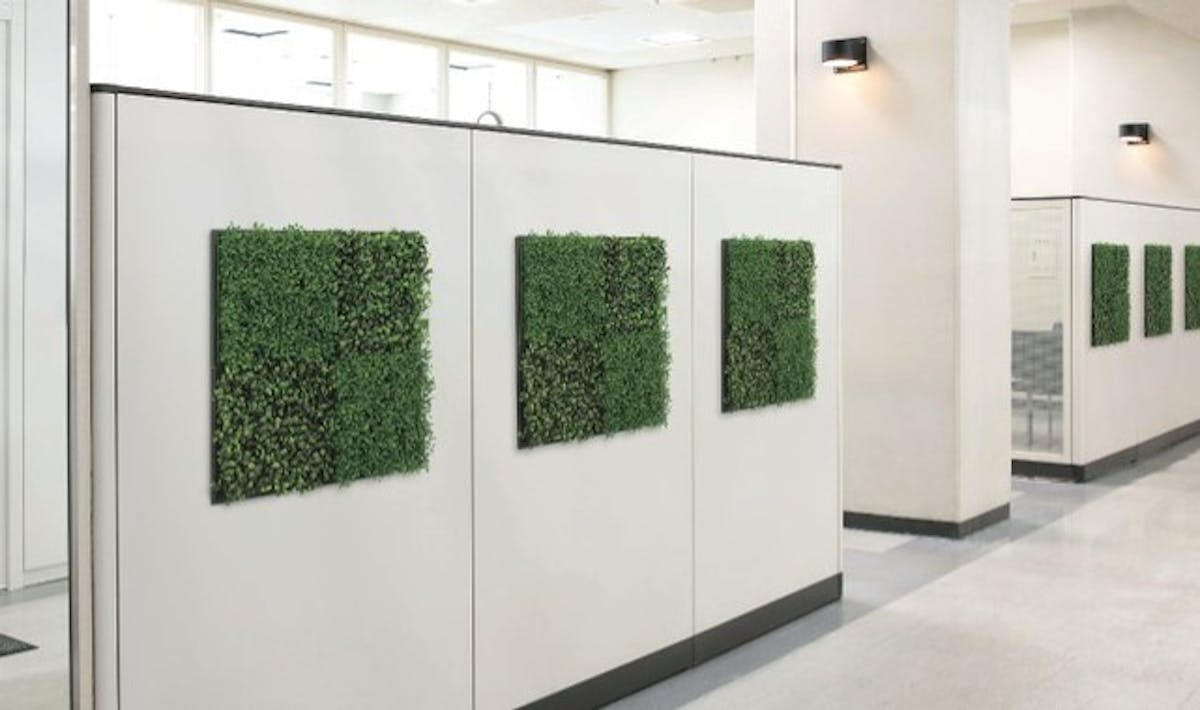 フェイクグリーン_パーテーション