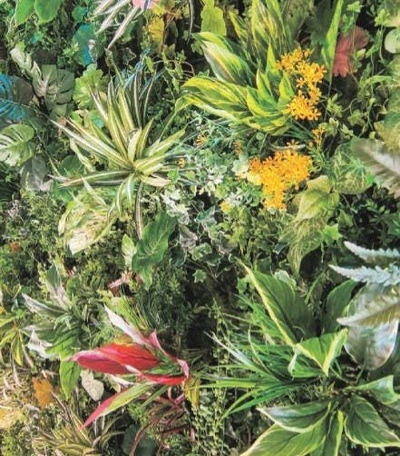 ウォールグリーンはおしゃれで水やり不要 壁 インテリア 観葉 フェイク ウォールグリーンはおしゃれで水やり不要 壁 インテリア 観葉 フェイク