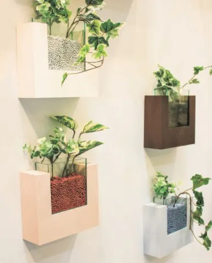 観葉植物で玄関やエントランスをおしゃれに 風水でも選ばれ おすすめ 人気 観葉植物で玄関やエントランスをおしゃれに 風水でも選ばれ おすすめ 人気