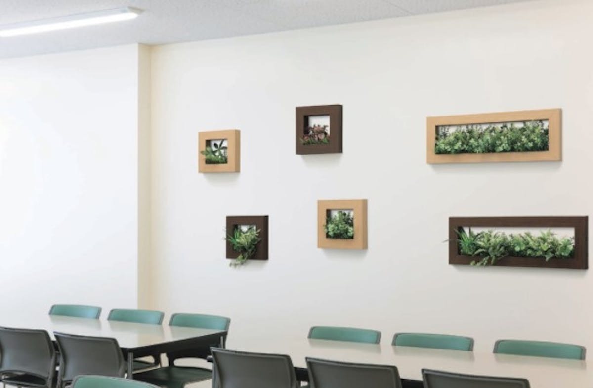 オフィス_会議室_観葉植物