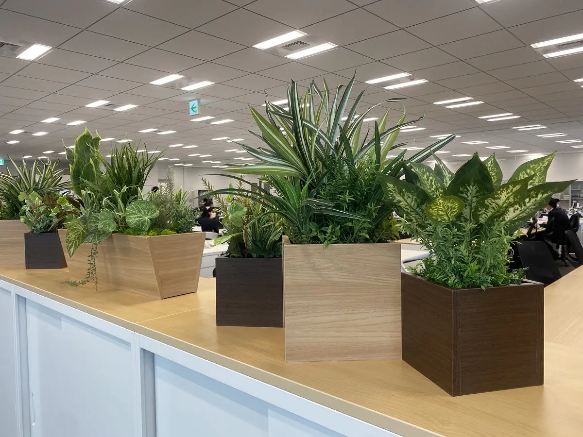 オフィスをグリーンでリフレッシュ空間に フェイク 観葉 植物 オフィスをグリーンでリフレッシュ空間に フェイク 観葉 植物