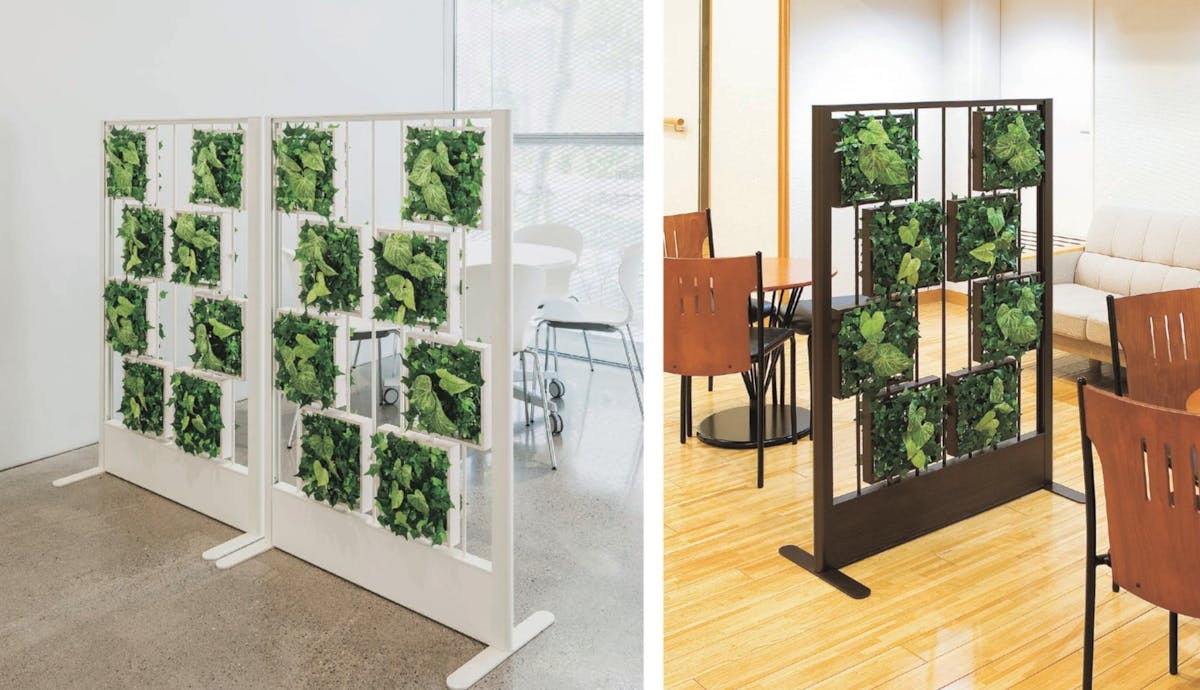 間仕切りをおしゃれに観葉植物で演出について|フェイクグリーン通販専門店 間仕切りをおしゃれに観葉植物で演出について|フェイクグリーン通販専門店
