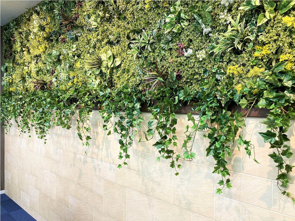 フェイクグリーンで壁をアレンジ 通販でもランキング上位 比較 フェイクグリーンで壁をアレンジ 通販でもランキング上位 比較