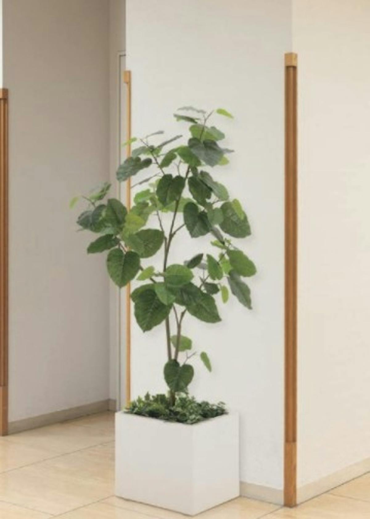 人工樹木_フェイクグリーン