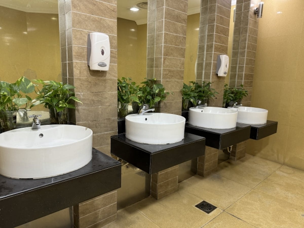 トイレ　観葉植物