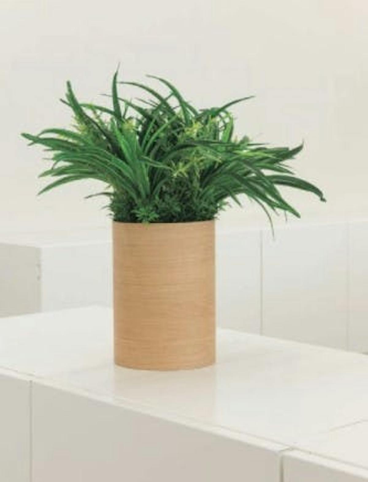 フェイクグリーン