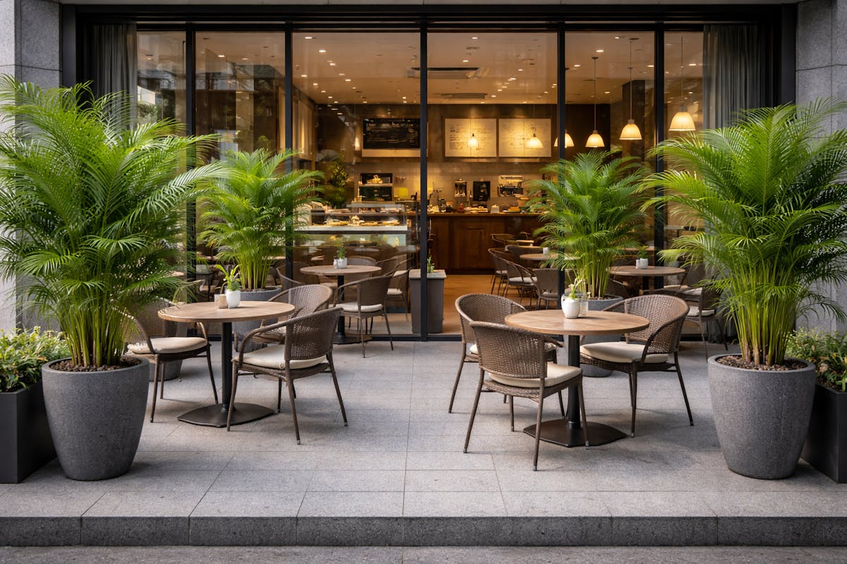 カフェテラス　グリーン　イメージ