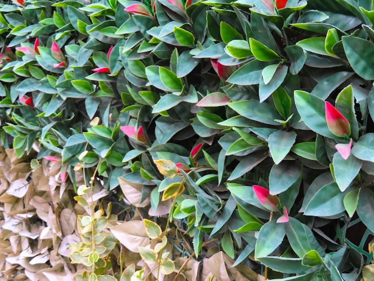 フェイクグリーン　屋外　劣化