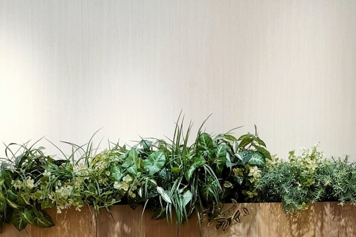 フェイクグリーン　イメージ