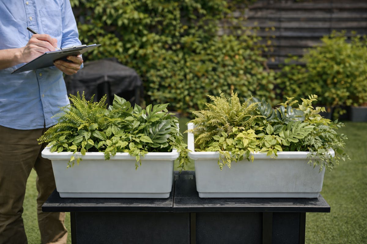 フェイクグリーン　屋外耐久テスト　イメージ