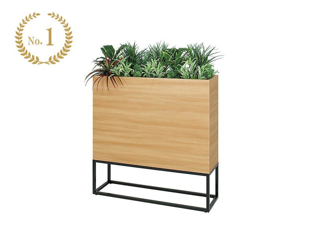 人気ランキング