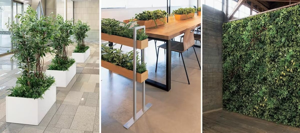 グリーンモード画像