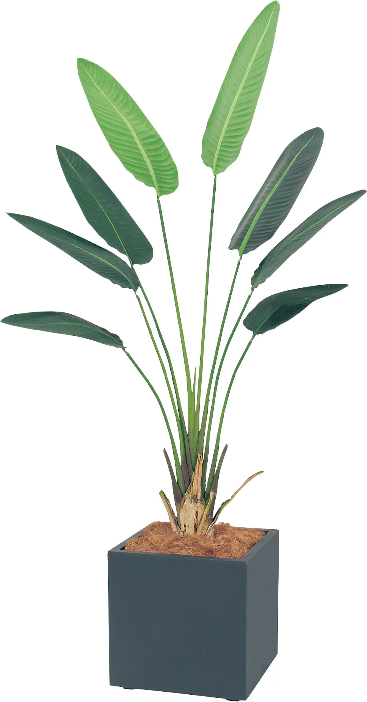 ボックスプランター Gr5003 オーガスタ H1900 人工観葉植物 樹木プランター グレー