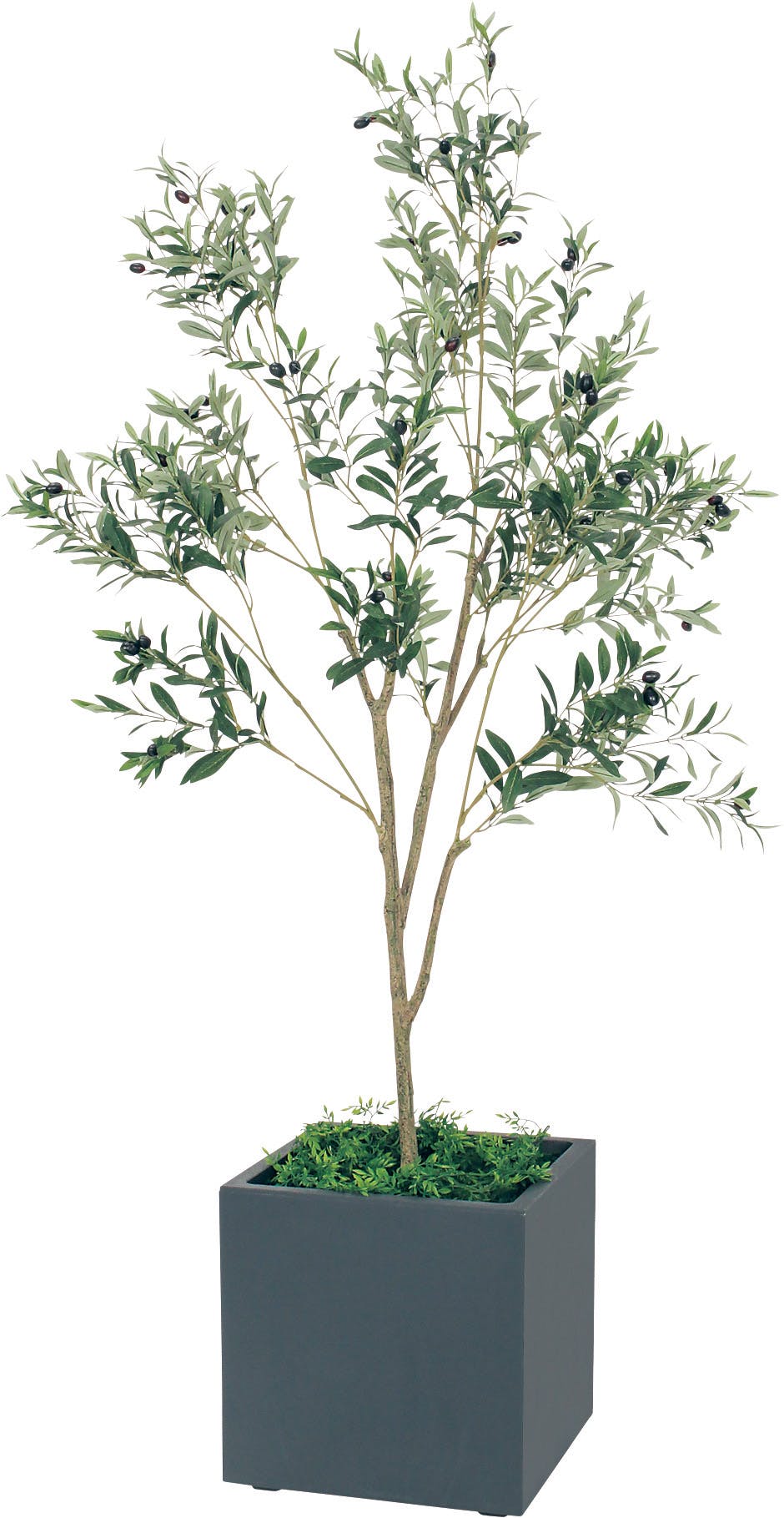 ボックスプランター GR5007 シェフレラ H1800｜人工観葉植物