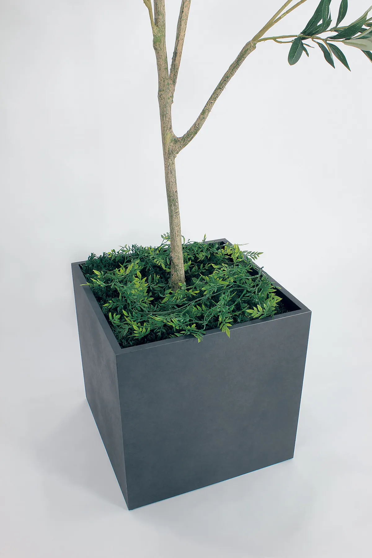 ボックスプランター GR5004 オリーブ H1900｜人工観葉植物 樹木 