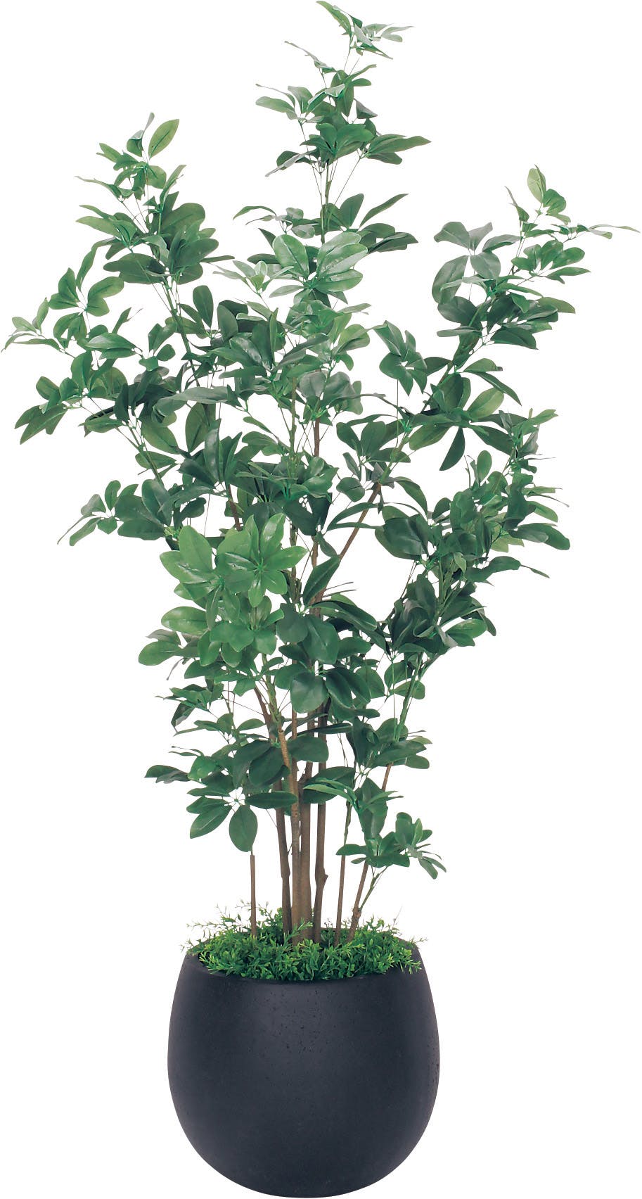 ボックスプランター Gr5007 シェフレラ H1800 人工観葉植物 樹木プランター グレー ボックスプランター Gr5007 シェフレラ H1800 人工観葉植物 樹木プランター グレー