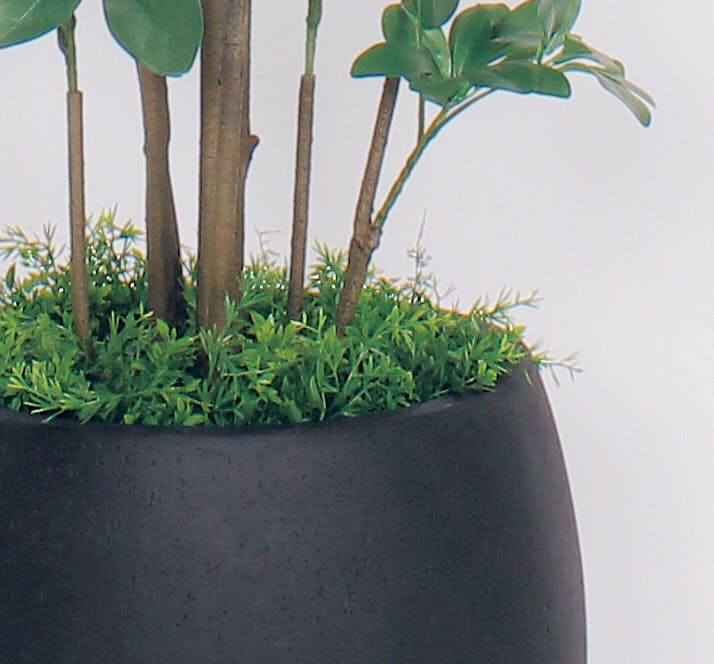 ボックスプランター GR5007 シェフレラ H1800｜人工観葉植物 樹木