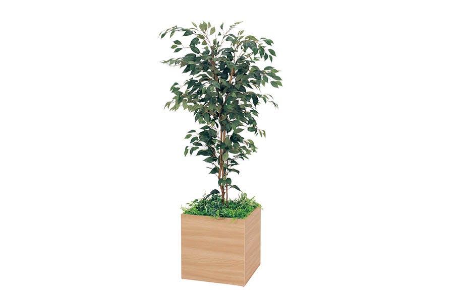 寄せ植え　植木鉢　プランター新商品入荷 寄せ植えプランター GR5039 シェフレラ H2050｜人工観葉植物 連接樹木